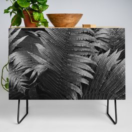 Leaves of green fern nature portrait black and white photograph / photography Credenza