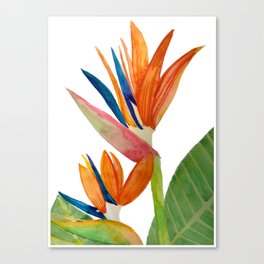 Two in Prardise Canvas Print