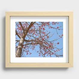 tree 07 Recessed Framed Print