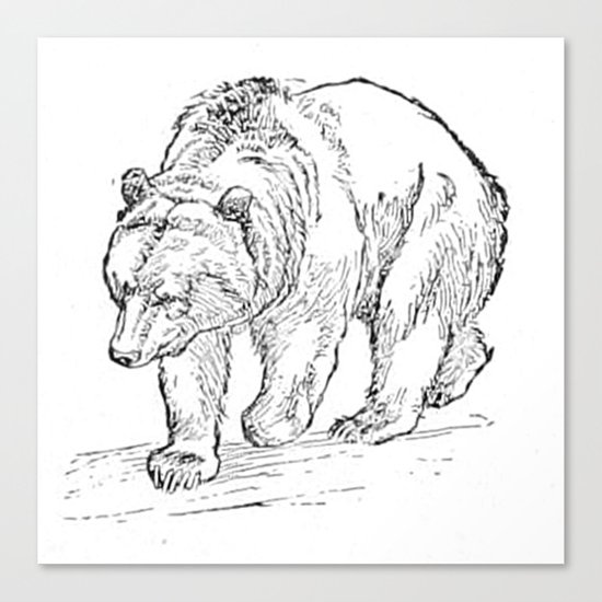 Bear Canvas Print