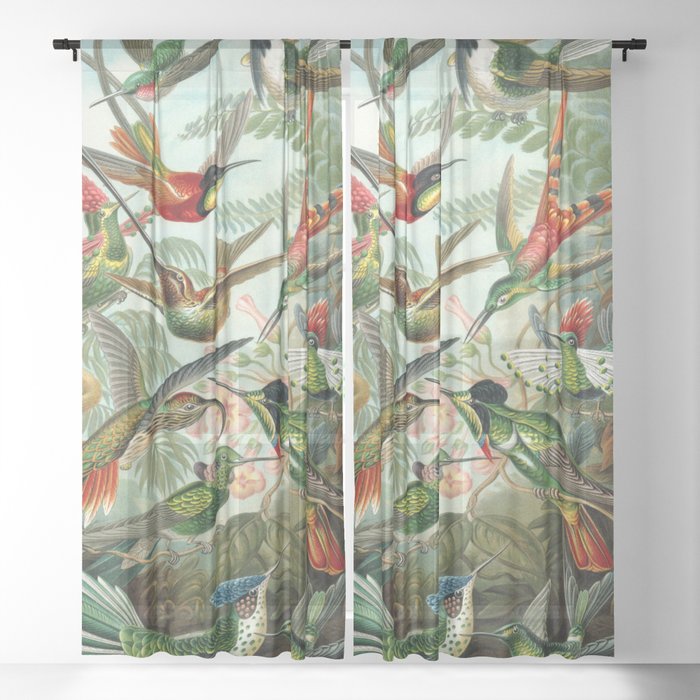 Vintage Hummingbirds Decorative Illustration Sheer Curtain
