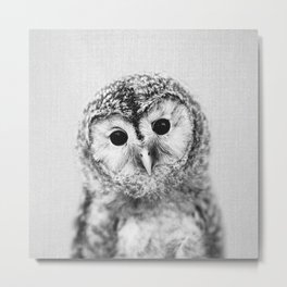 Baby Owl - Black & White Metal Print | Jungle, Children, Bird, Forest, Funny, Nature, Photo, Zoo, Minimal, Woodlands 