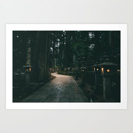 Stairway to heaven mysterious forest path in Japan Art Print