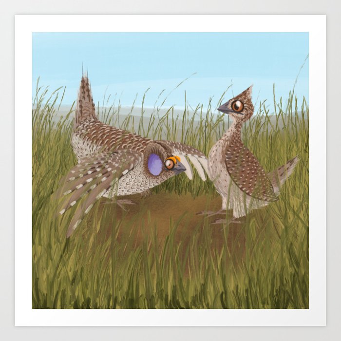 Sharp-tailed Grouse (Canavians Series) Art Print