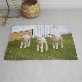 3 Little Lambs Rug
