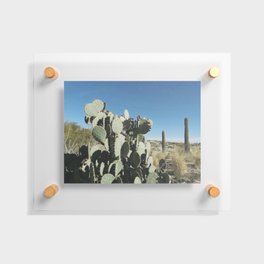 cactus in nevada vi Floating Acrylic Print