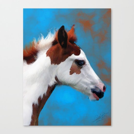 Blue Eyes Canvas Print