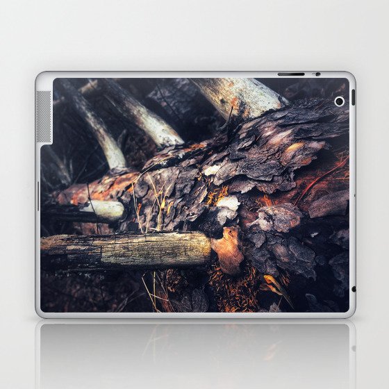 Slumbering Ancestor Laptop & iPad Skin