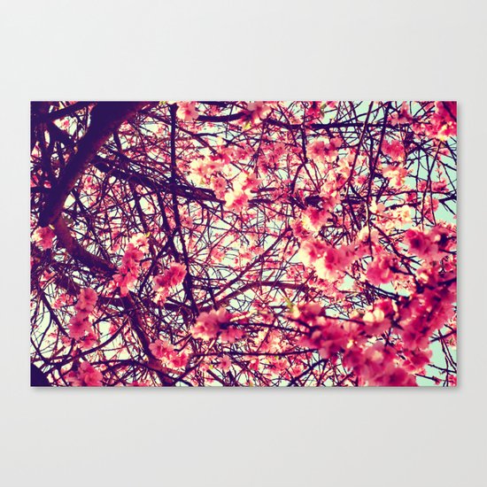 Blossom tree Canvas Print