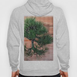 Bonsai Pinus Parviflora (Japanese white pine) Hoody