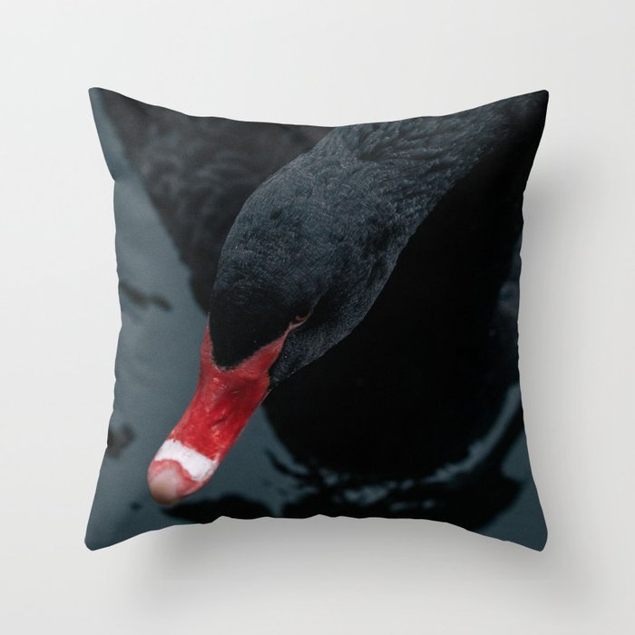 Portrait of black swan. Throw Pillow