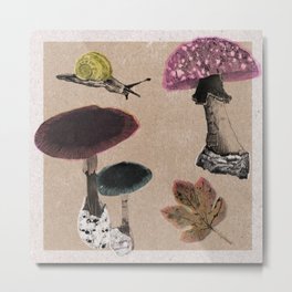 Fantastic Fungi Metal Print