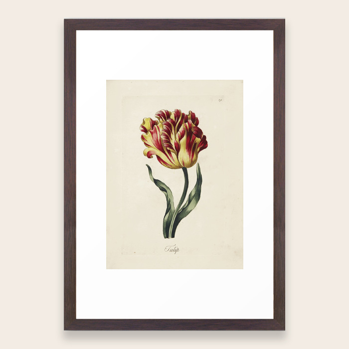 Parkinson Thomas Flower Painting Made Easy Framed Art Print By