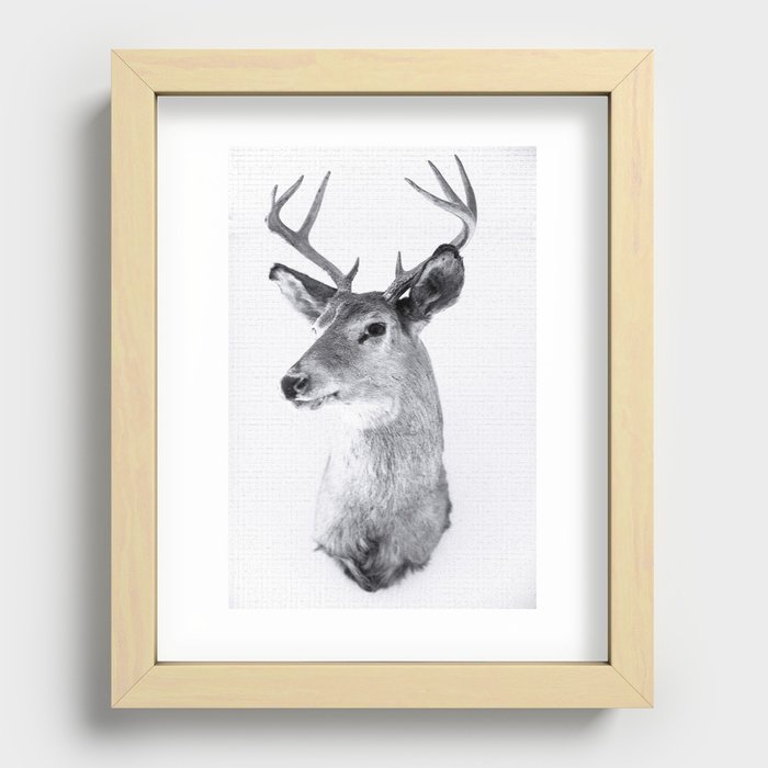 Deer Recessed Framed Print