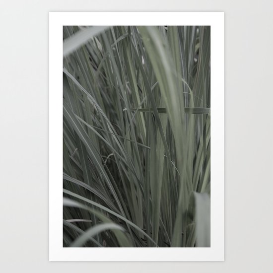 Lemon Grass Art Print