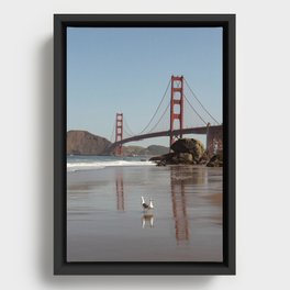Seagulls and The Golden Gates Framed Canvas