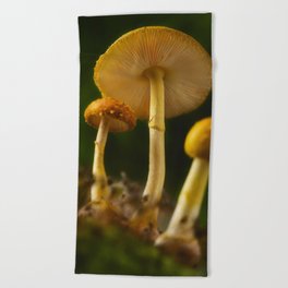 Mushrooms Beach Towel