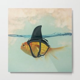 Goldfish with a Shark Fin Metal Print