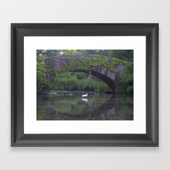 Great Egret under the Gapstow Bridge Framed Art Print