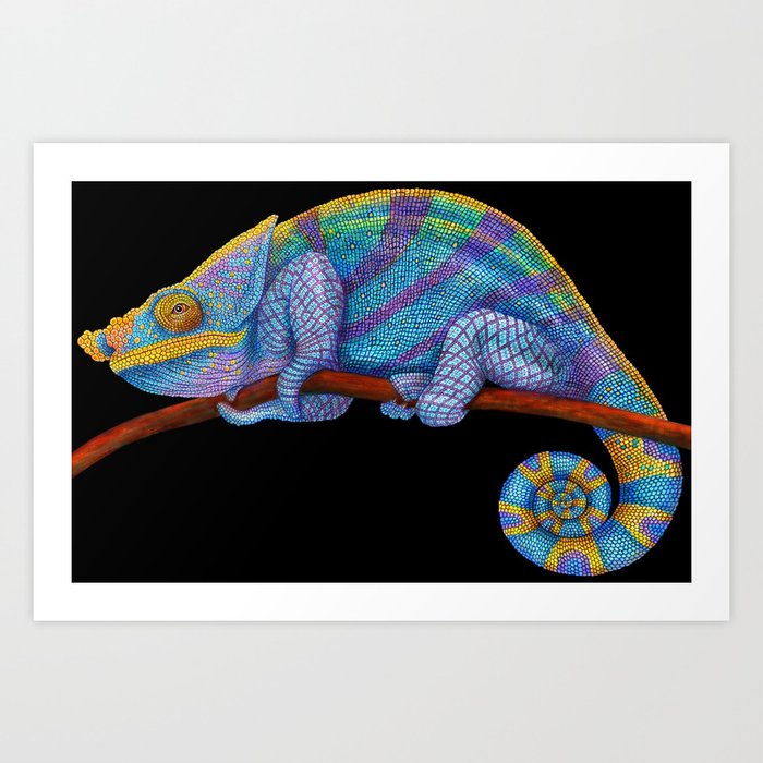 Parson's Chameleon Art Print