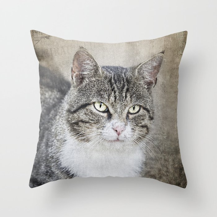 Mr. Cat Throw Pillow