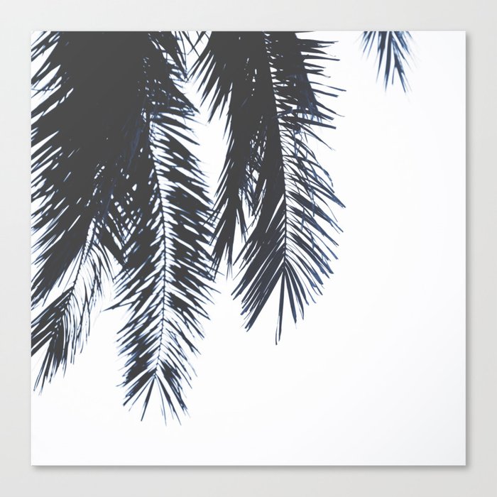 Palm Tree leaves - Palm Springs Travel photography by Ingrid Beddoes Canvas Print