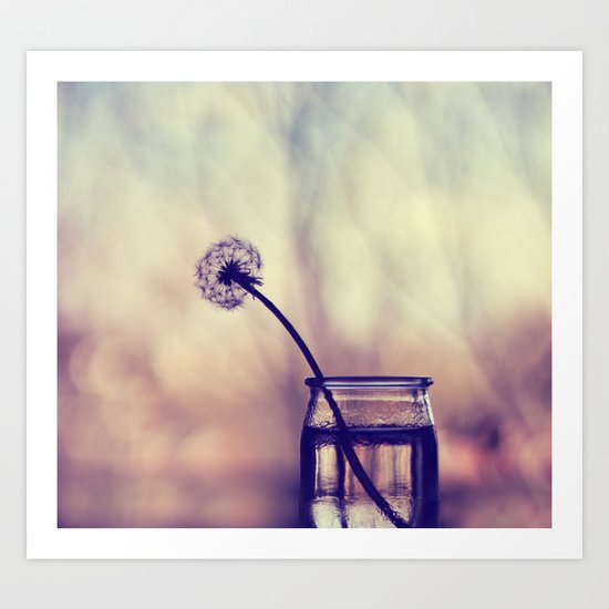 dandelion morning Art Print