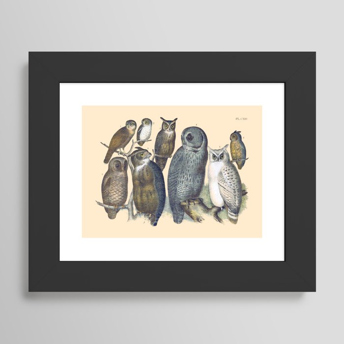 Framed Art Print