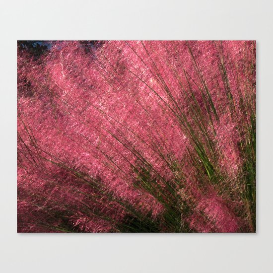Pink Sweetgrass Canvas Print