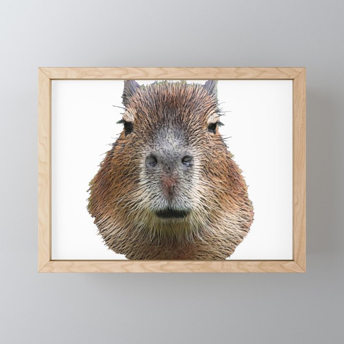 Capybara Face Hairy Front Classy Axpect Mammal Framed Mini Art Print