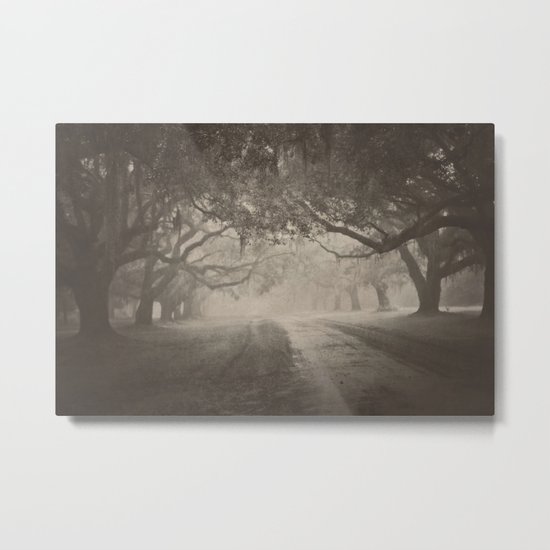 Avenue of Oaks Metal Print