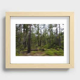 Motion Blurred Forest Recessed Framed Print
