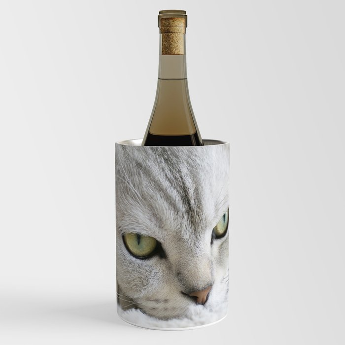 Cute Grey Cat Wine Chiller