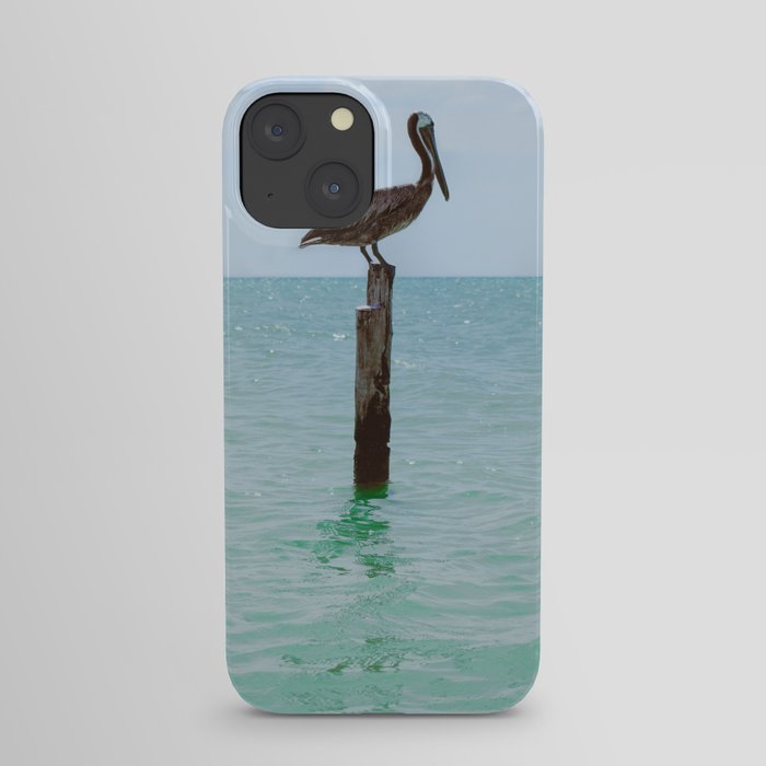 Pelican in Holbox beach iPhone Case