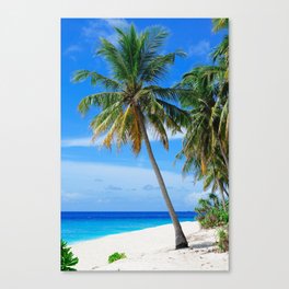 Tropical Island Palm Trees Canvas Print