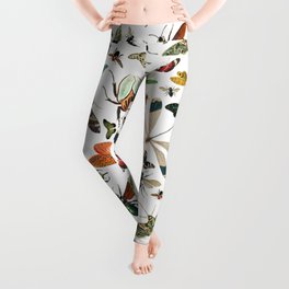 Vintage Insect Illustrations White Background Pattern Leggings