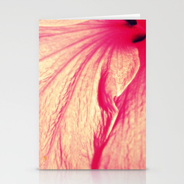 hibiscus fade Stationery Cards