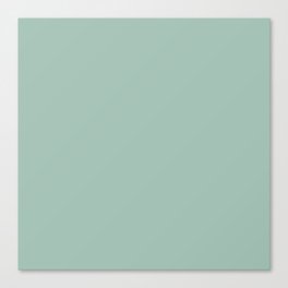 Lichen solid color. Celadon green moody modern abstract plain pattern Canvas Print