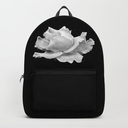 White Rose On Black Backpack | Blooming, Blossom, Dark, Fine Art Photography, Petals, Still Life, Close Up, Monochrome, Bloom, Nature 