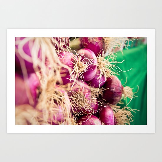 Onions Art Print