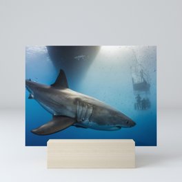 Great White Shark Mini Art Print