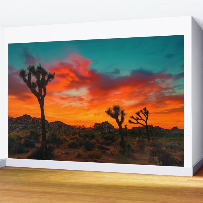 Sunset Desert (Color) Wall Mural by nocolordesigns | Society6