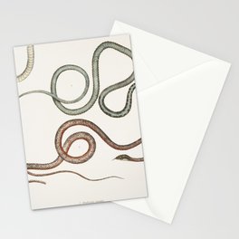 Side Streaked Tree Snake & Reddish Dipsus Stationery Card