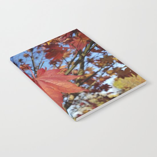Maple leaf center stage Notebook