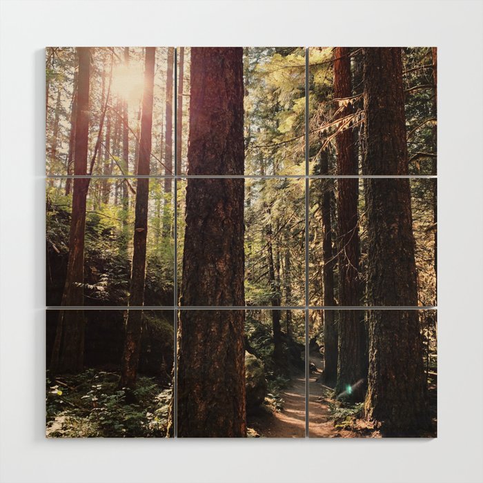 Pacific Northwest Trail Hike Wood Wall Art