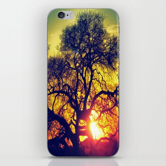 Through the trees iPhone & iPod Skin