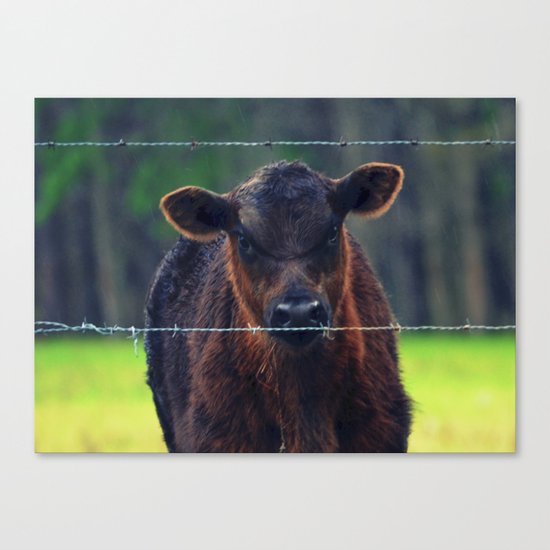 Moo Cow II Canvas Print