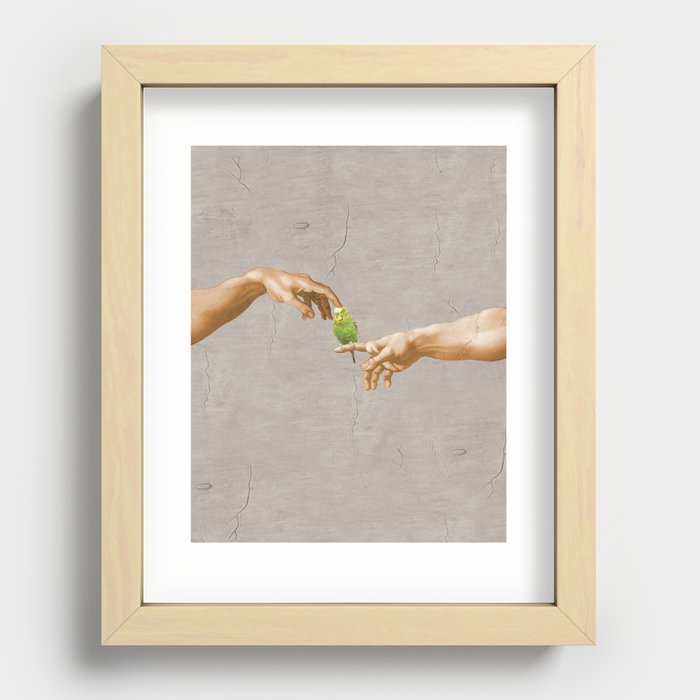 scritching a budgerigar #full Recessed Framed Print