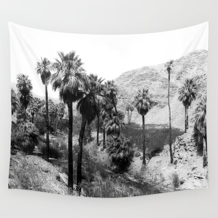 Palm Canyon near Palm Springs c.1901 Wall Tapestry