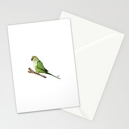 The Amsterdam series, the parakeet Stationery Cards